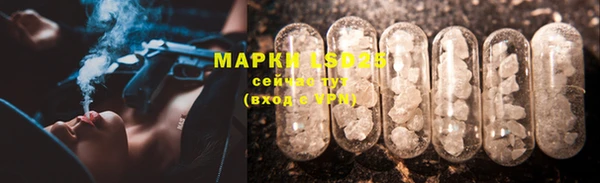 эйфоретик Белокуриха