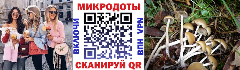 Псилоцибиновые грибы мухоморы  Купить закладки  Магадан 